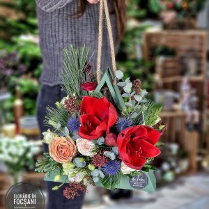 Aranjament floral DIFERIT AMARYLLIS - 2 FETE